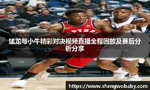 猛龙与小牛精彩对决视频直播全程回放及赛后分析分享